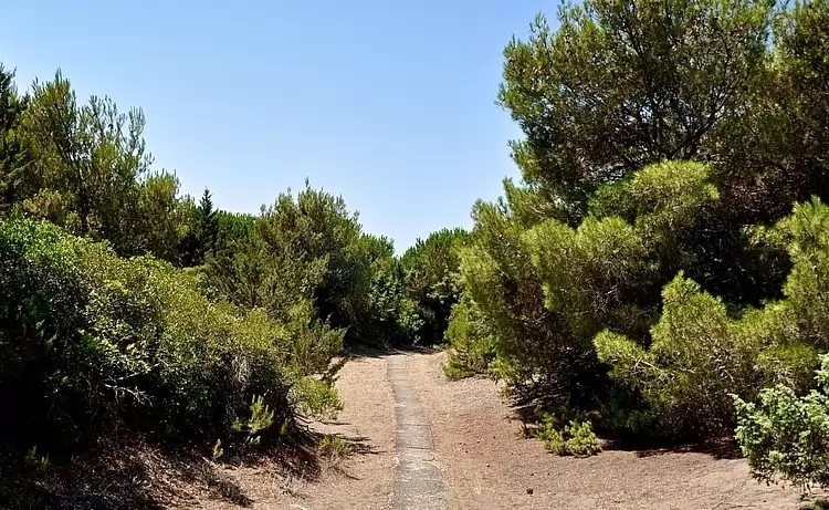 My Toscana Blog - Marina di Bibbona La Pergola