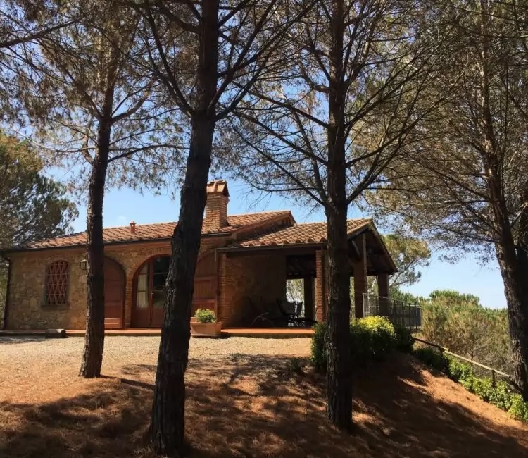 My Toscana Blog - Riparbella Cottage La Pinetina